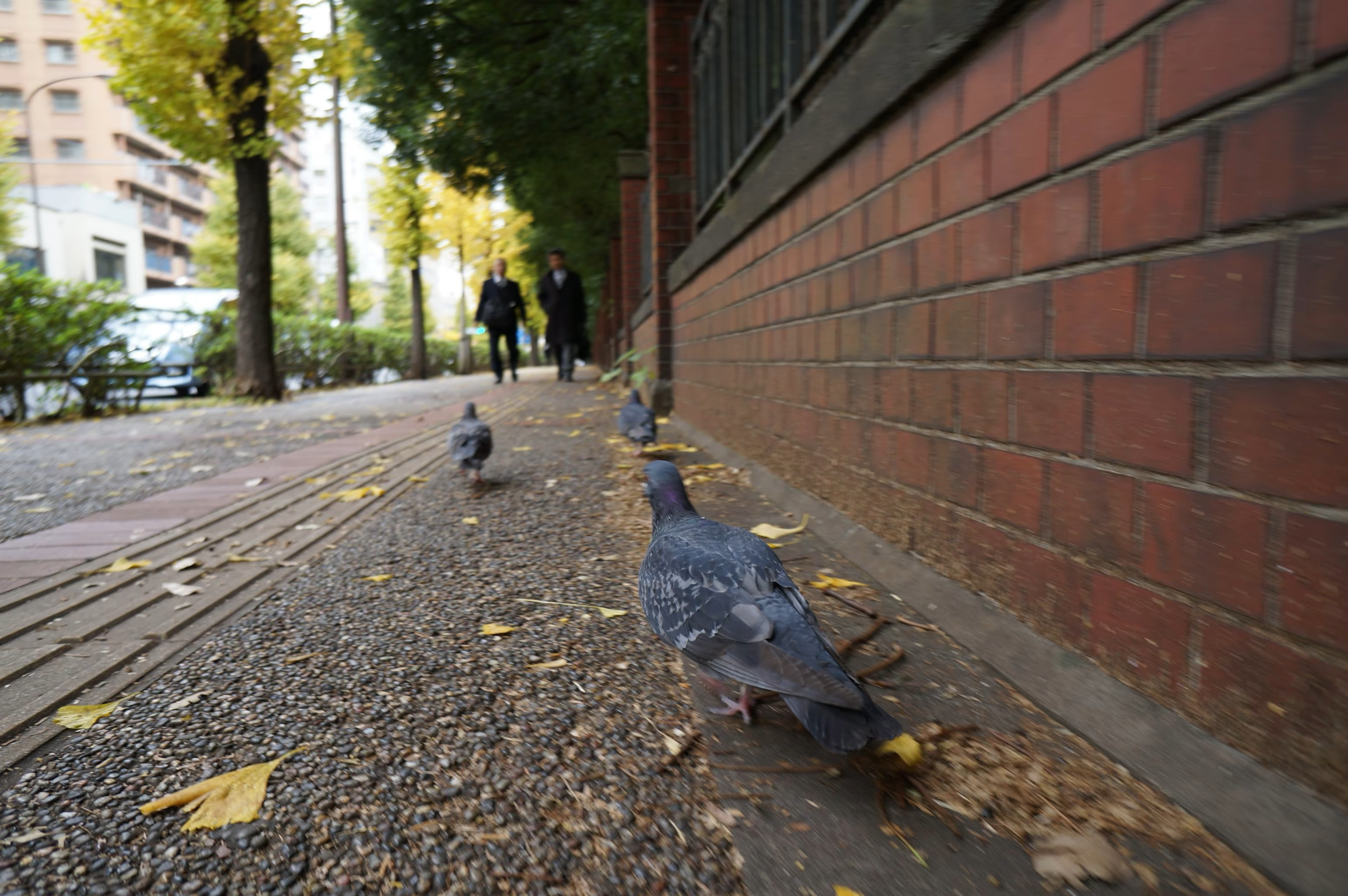 PrettyJindra channel picture